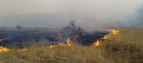 Пожар в Бюракане - Sputnik Армения