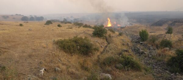 Пожар в Бюракане Пожар в Бюракане - Sputnik Արմենիա