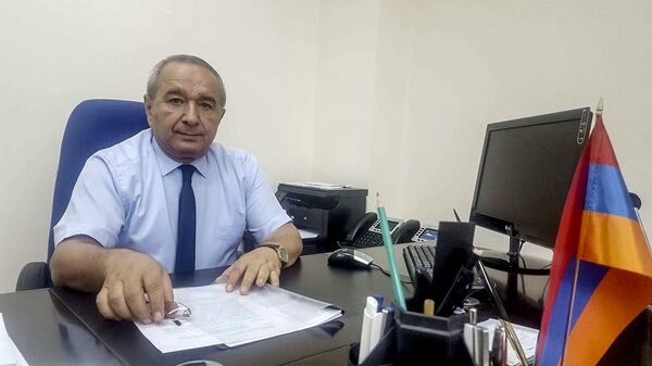 Начальник консульского управления МИД Армении Владимир Кармиршалян - Sputnik Армения