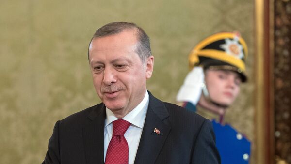 10 марта 2017. Президент Турции Реджеп Тайип Эрдоган во время беседы с президентом РФ Владимиром Путиным - Sputnik Արմենիա