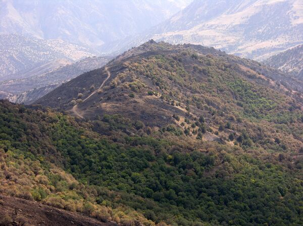 Хосровский лес после пожара - Sputnik Армения