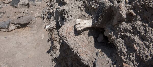 Раскопки в селе Агцк, Аштарак Раскопки в селе Агцк, Аштарак - Sputnik Արմենիա