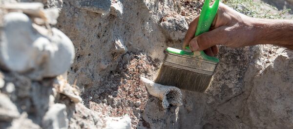 Раскопки в селе Агцк, Аштарак - Sputnik Армения