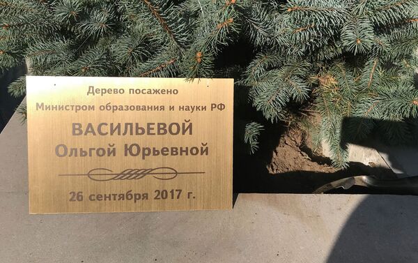 Дерево, посаженное Министром образования и науки РФ Ольгой Васильевой - Sputnik Армения
