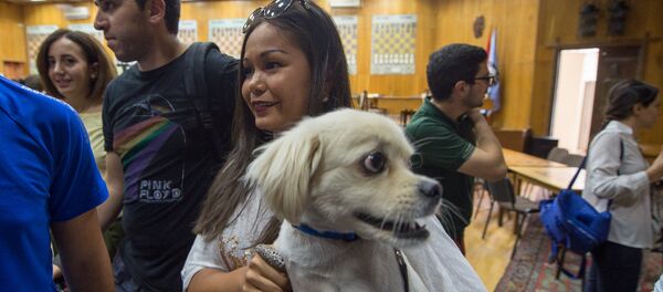 Ариана Каоли Ариана Каоли - Sputnik Արմենիա