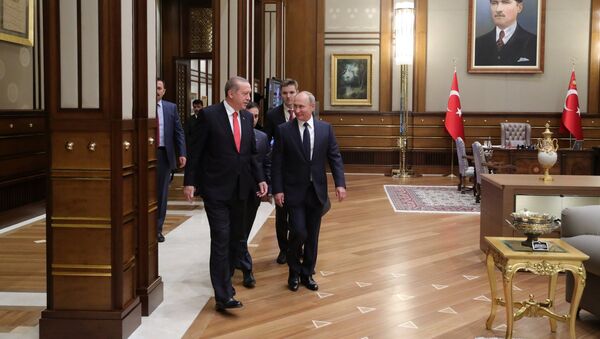Визит президента РФ В. Путина в Турцию - Sputnik Армения
