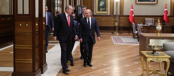 Визит президента РФ В. Путина в Турцию - Sputnik Армения