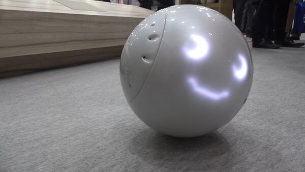 Японский робот для детей - Sputnik Արմենիա