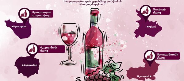 Գինեգործությունը Հայաստանում. ո՞ր մարզերում են խաղող աճեցնում - Sputnik Արմենիա