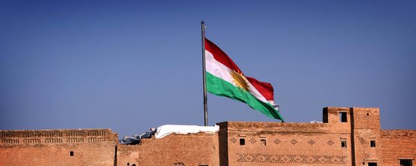 Город Эрбиль, иракский Курдистан - Sputnik Армения