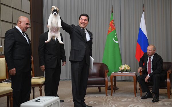 Թուրքմենստանի նախագահը Վլադիմիր Պուտինին ալաբայ ցեղատեսակի շան ձագ է նվիրել - Sputnik Արմենիա