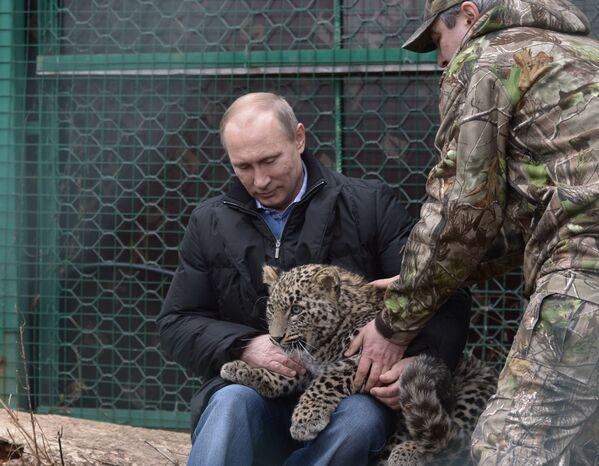 Президент России Владимир Путин во время посещения Центра разведения и реабилитации леопарда в Сочи - Sputnik Армения