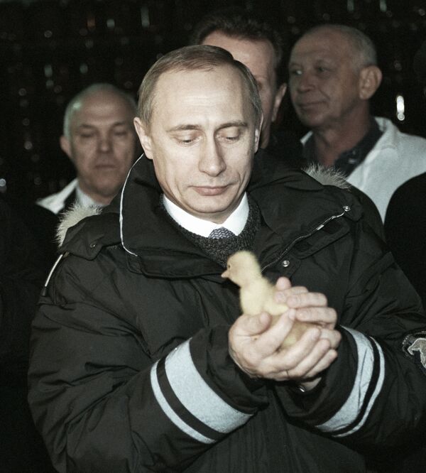 И. О. Президента России Владимир Путин с цыпленком в руках, 2000 год - Sputnik Армения