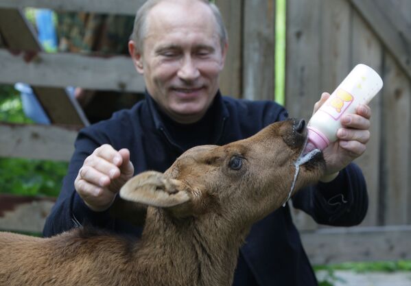 Премьер-министр РФ Владимир Путин во время посещения парка Лосиный остров - Sputnik Армения