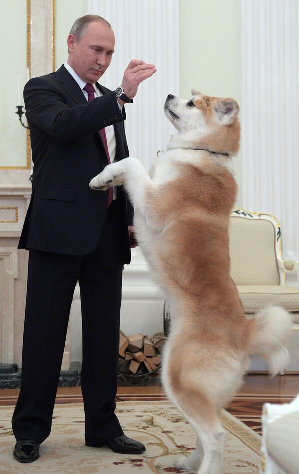 Президент России Владимир Путин с собакой Юмэ перед началом интервью в Кремле - Sputnik Армения