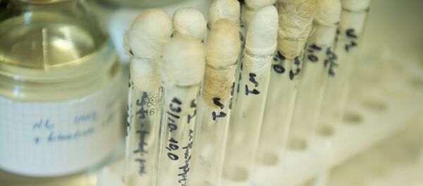 Референс-лаборатория в Ереване - Sputnik Армения