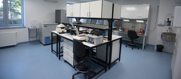 Референс-лаборатория в Ереване - Sputnik Армения