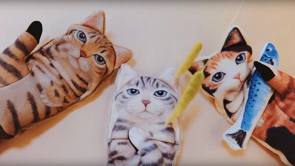 В Японии сделали перчатки для смартфона в виде кота - Sputnik Արմենիա