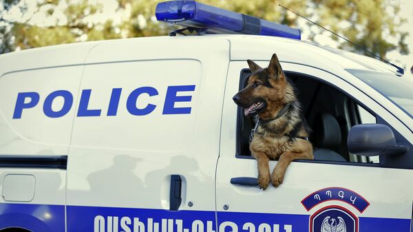 Полиция. Полицейская собака - Sputnik Армения
