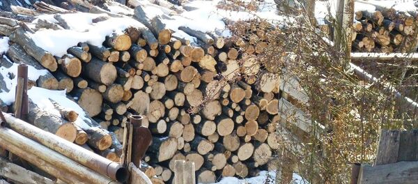 Վառելափայտ Վառելափայտ - Sputnik Արմենիա