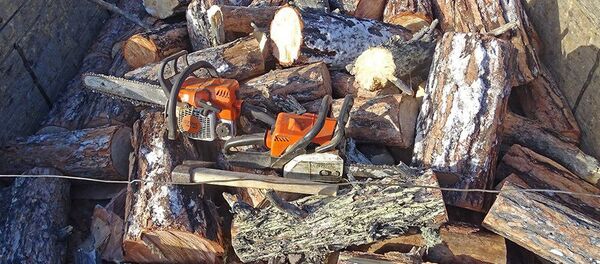 Незаконная вырубка леса - Sputnik Արմենիա