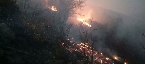 Пожар в комплексе Зангезур Пожар в комплексе Зангезур - Sputnik Արմենիա