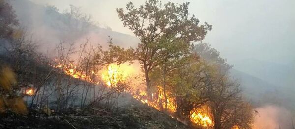 Пожар в комплексе Зангезур Пожар в комплексе Зангезур - Sputnik Армения