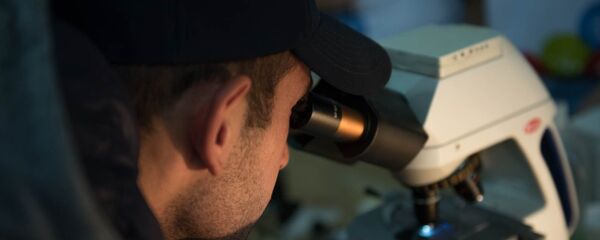 Интерактивная выставка в рамках научного фестиваля «РУСАЛ ФЕСТИВАL #Наука» - Sputnik Արմենիա