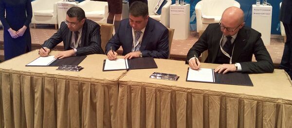 Евразийский банк развития и ЗАО Электрические сети Армении” подписали Соглашение о намерениях Евразийский банк развития и ЗАО Электрические сети Армении” подписали Соглашение о намерениях - Sputnik Армения