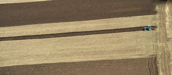 Минимализм по армянски. - Sputnik Армения