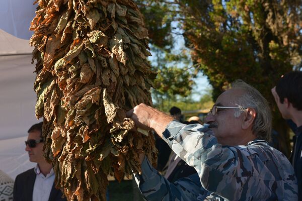 Фестиваль Амшен в селе Цкыбын Фестиваль Амшен в селе Цкыбын - Sputnik Արմենիա
