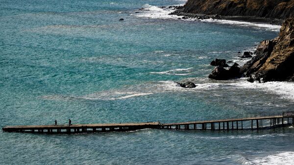 
Побережье Черного моря - Sputnik Армения