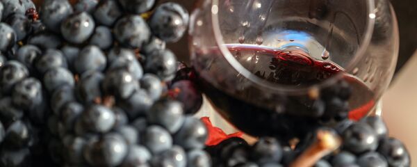 Виноградная лоза и вино - Sputnik Армения