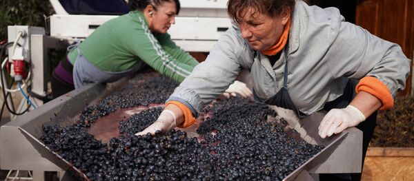 Регионы России. Крым - Sputnik Армения