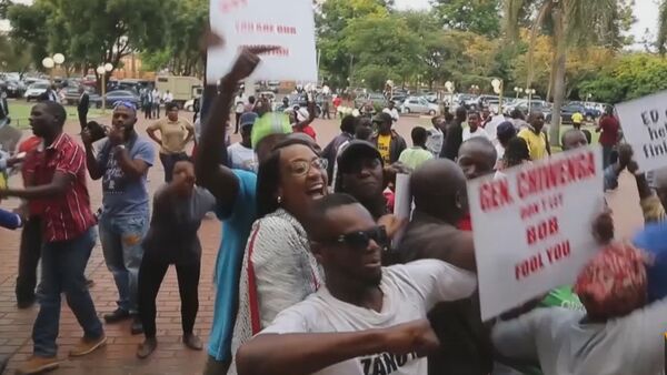 Толпы людей праздновали на улицах Хараре отставку президента Зимбабве - Sputnik Армения