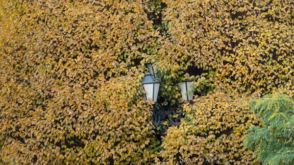 Осень в Ереване - Sputnik Армения