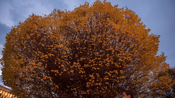 Осень в Ереване - Sputnik Армения