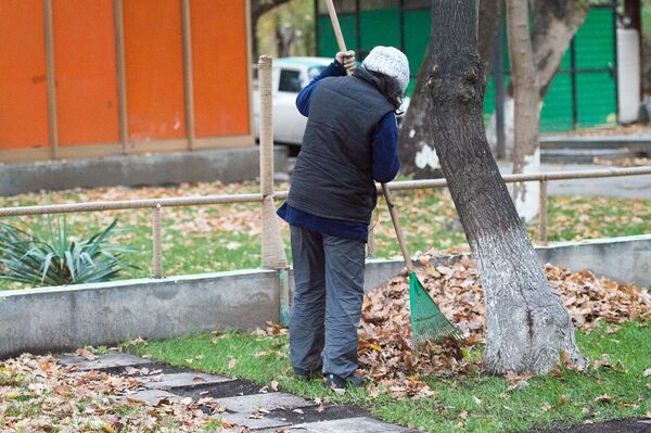 осень в Ереване осень в Ереване - Sputnik Արմենիա