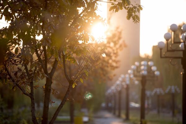 осень в Ереване осень в Ереване - Sputnik Արմենիա