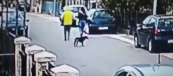 В Черногории уличный пес спас женщину от грабителя В Черногории уличный пес спас женщину от грабителя - Sputnik Արմենիա