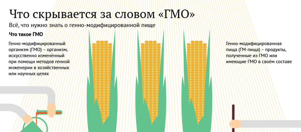 ГМО: что это такое и стоит ли бояться ГМО: что это такое и стоит ли бояться - Sputnik Արմենիա
