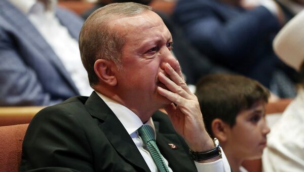 Президент Турции Реджеп Тайип Эрдоган во время встречи со сторонниками. Стамбул, Турция - Sputnik Армения