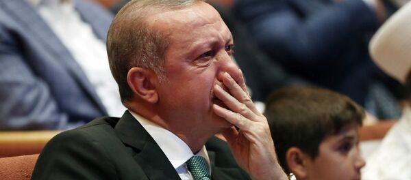Президент Турции Реджеп Тайип Эрдоган во время встречи со сторонниками. Стамбул, Турция - Sputnik Армения