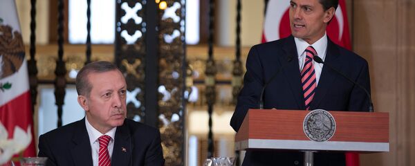 Президент Турции Реджеп Тайип Эрдоган - Sputnik Армения