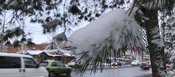 Ереван встретил первый снег Ереван встретил первый снег - Sputnik Армения