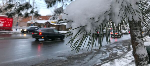 первый снег в Ереване - Sputnik Армения