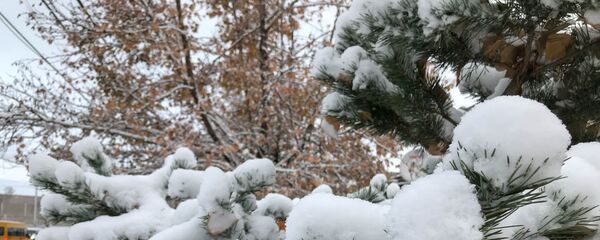 Снег в Ереване Снег в Ереване - Sputnik Армения