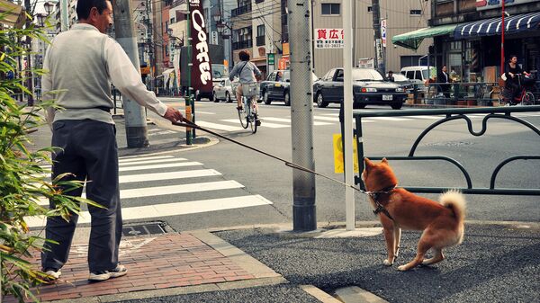 Японец с собакой - Sputnik Армения