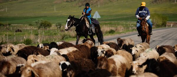 Пастухи - Sputnik Армения