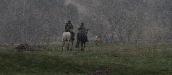 На охоте - Sputnik Армения